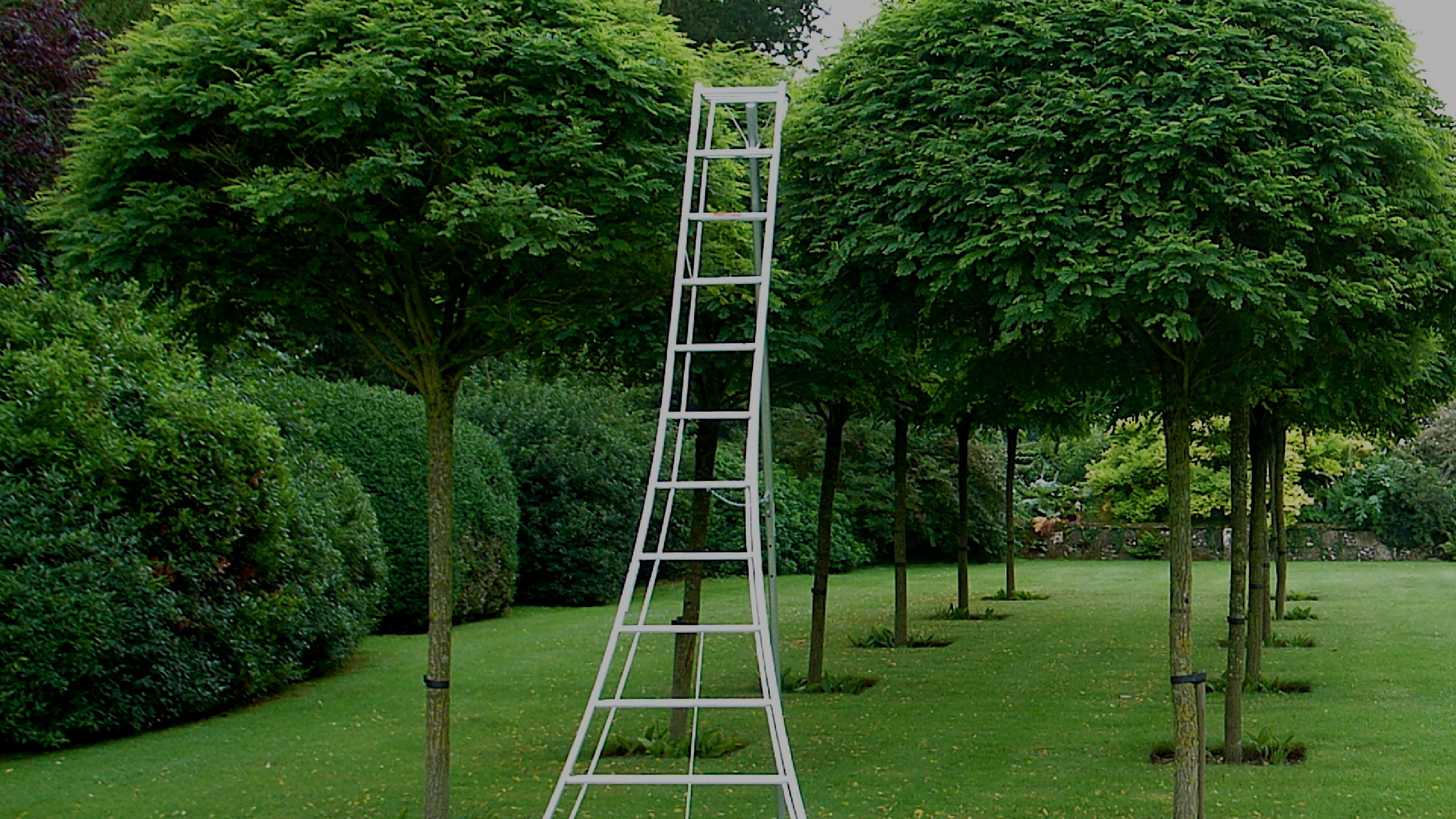 Tripod Ladder