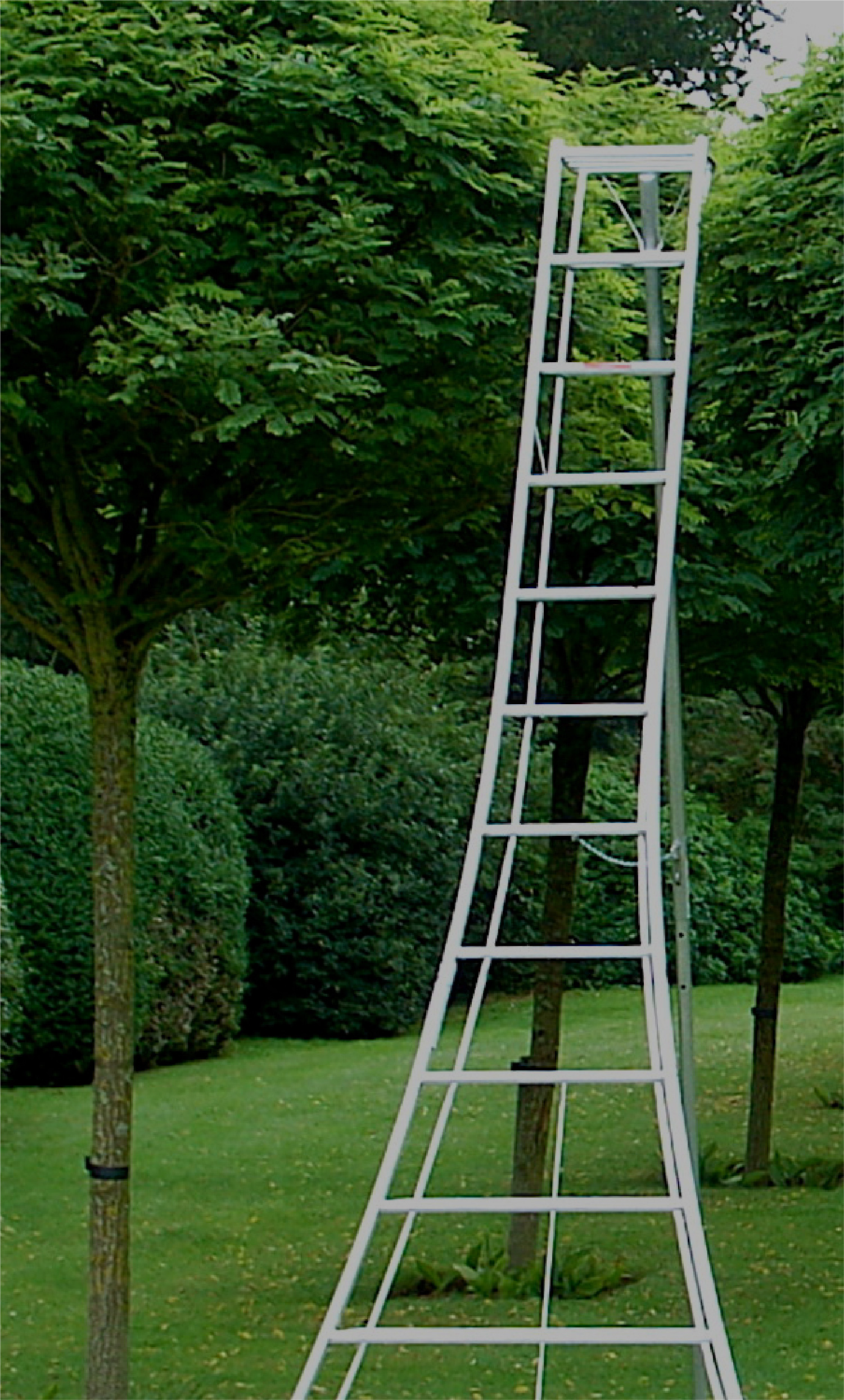 Tripod Ladder