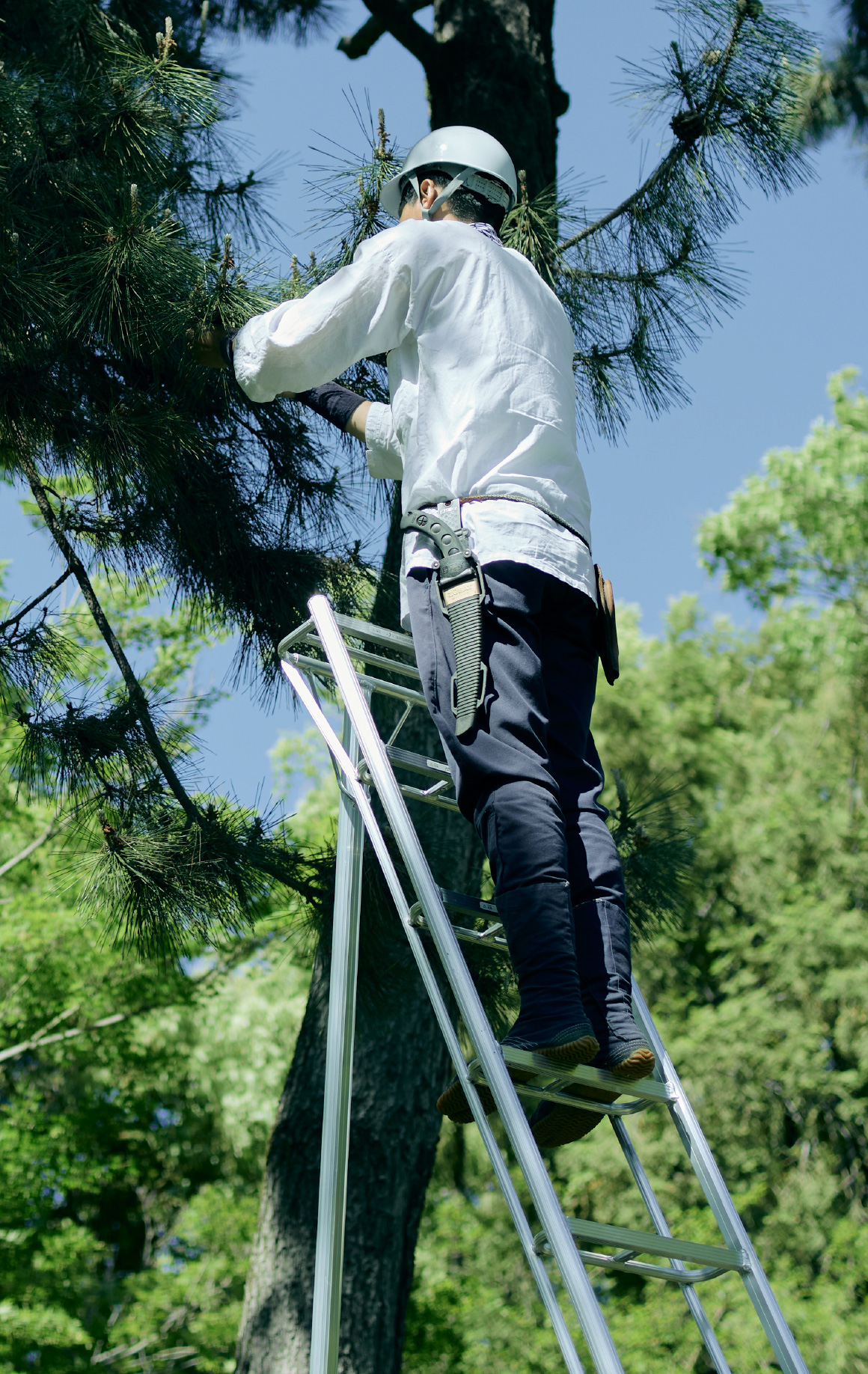 Tripod Ladders - Hasegawa Ladders